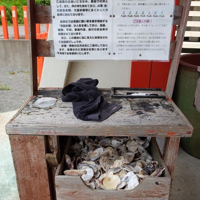 鹿兒島海邊的神社｜龍宮神社⛩️