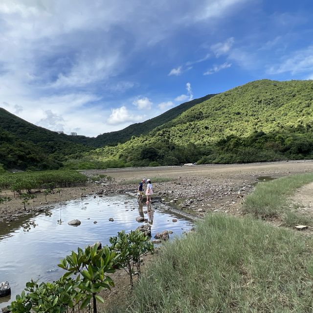 香港唯一有自然環境掩護嘅潮間帶泥灘 香港唯一有自然環境掩護嘅潮間帶泥灘