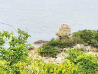 坪洲環島遊