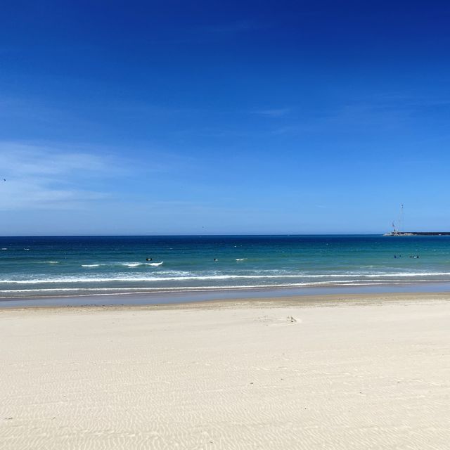 마토지뉴스 해변🏖 