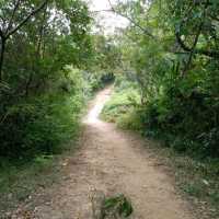初级行山路線🚶‍♀️🚶‍♀️🚶‍♀️