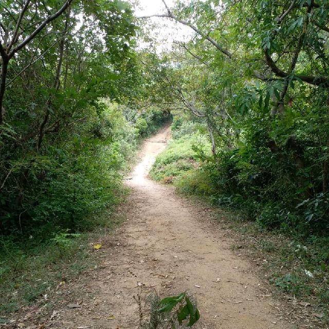 初级行山路線🚶‍♀️🚶‍♀️🚶‍♀️
