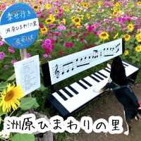 フォトジェニックな花畑　洲原ひまわりの里
