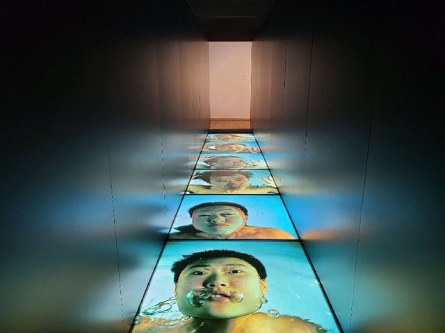 衝擊視覺新體驗👀~M➕博物館🏛️