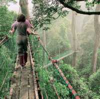 DANUM VALLEY LAHAD DATU SA