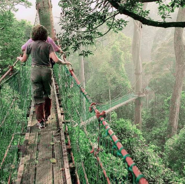  DANUM VALLEY LAHAD DATU SA