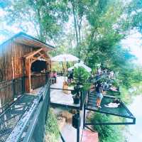 จิบกาแฟ ดูช้าง ที่มองช้างคาเฟ่ 🐘🐏🌳🌿🍂🍃