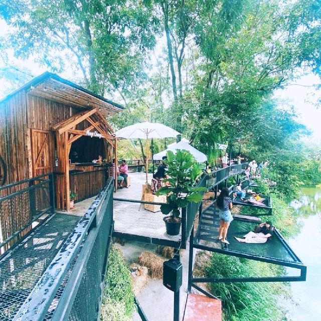 จิบกาแฟ ดูช้าง ที่มองช้างคาเฟ่ 🐘🐏🌳🌿🍂🍃