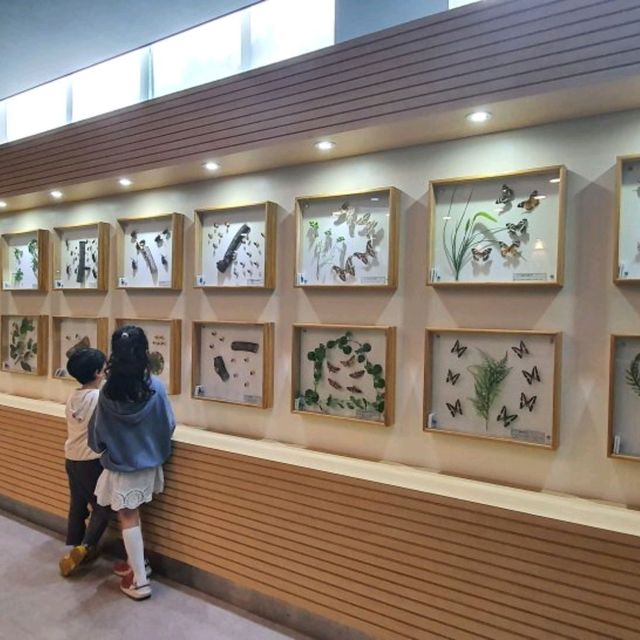 산림욕 하기 좋은 제주 한라수목원