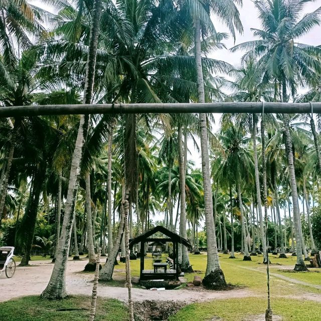 Experience Kampung Vibes in Kampung Agong!