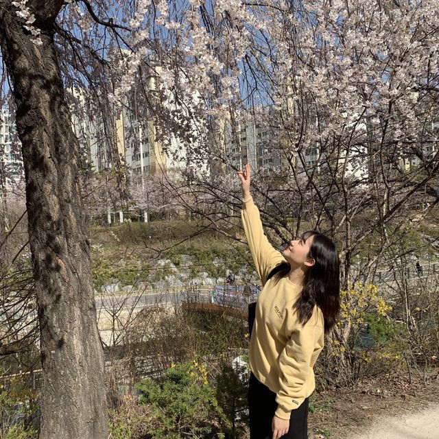 석촌호수만 핫플이랴! 중랑천도 핫플이다!
