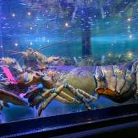 Burger & Lobsters Genting Highlands