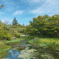 【日本 三重】日本最大規模花海 🌹🌷🌺🌸🌼