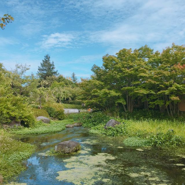 【日本 三重】日本最大規模花海 🌹🌷🌺🌸🌼