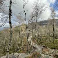 hiking to preikestolen