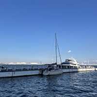 【横浜】海に浮かぶぷかりさん橋