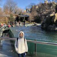 เที่ยว Central Park Zoo กัน