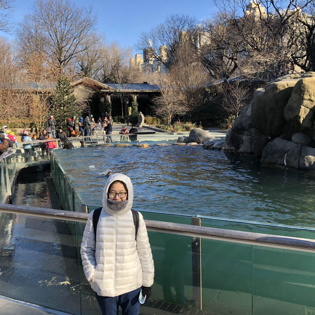 เที่ยว Central Park Zoo กัน