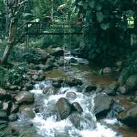 บ้านธารกล่อม นอนฟังเสียงน้ำไหลในอ้อมกอดธรรมชาติ 🌲
