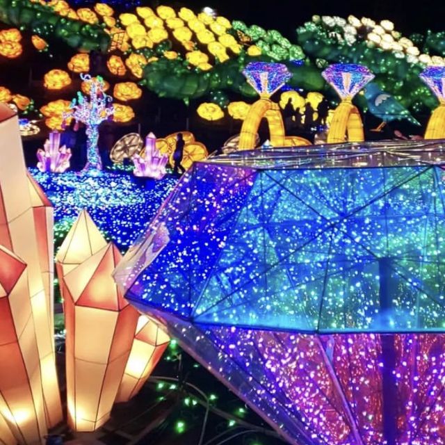 幻想的で煌びやかなイルミネーション✨✨