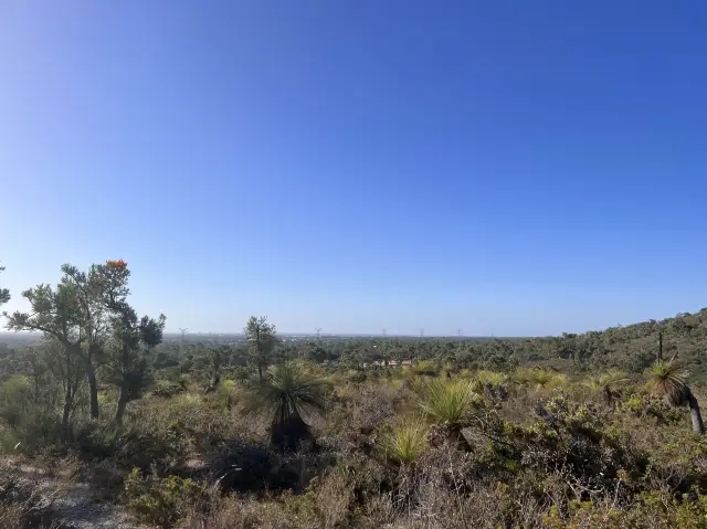 Eagle’s Eye Ellis Brook Valley 😎 Perth, WA