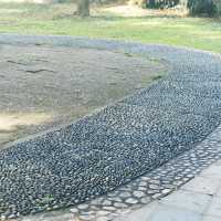 清靜地休息 - 馬鞍山郊野公園