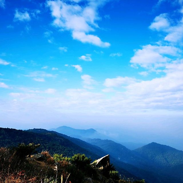 大帽山日出