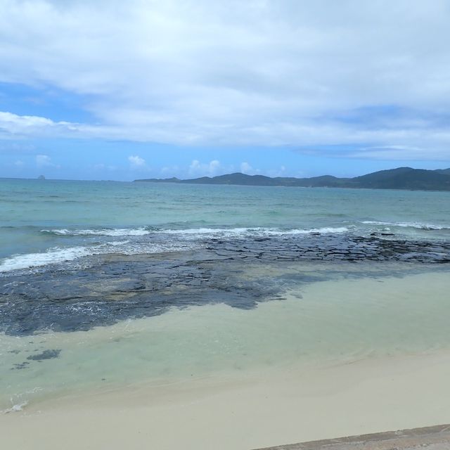 【沖縄･久米島】海に入らなくても会えるカメさん