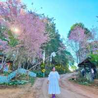 บ้านร่องกล้า