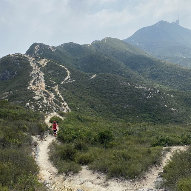 青山登頂 青山登頂