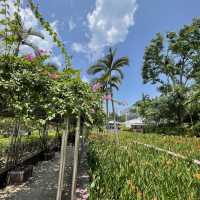 Istana Park 