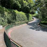 公園❤️❤️❤️