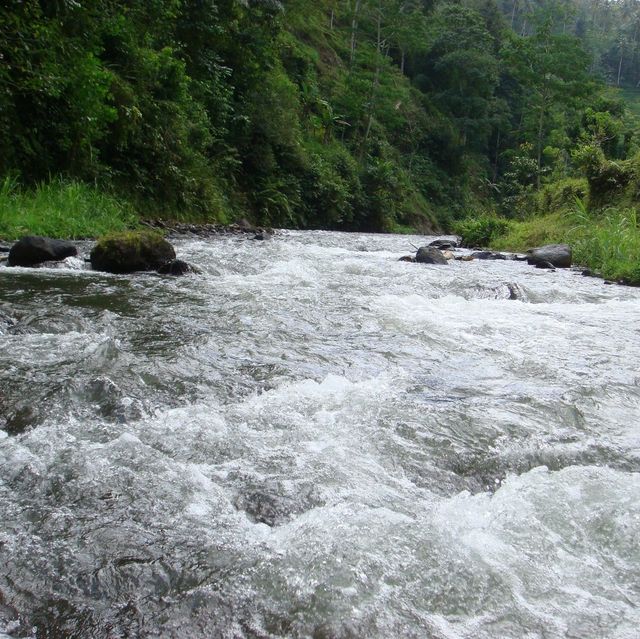 Bali White Water Rafting