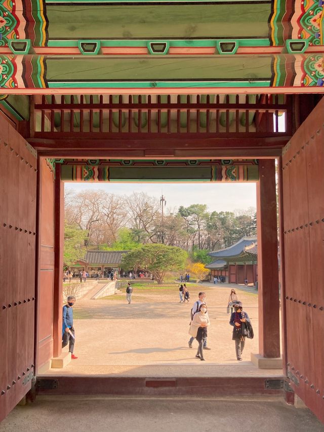 고즈넉한 창덕궁과 어우러진 꽃 🌸