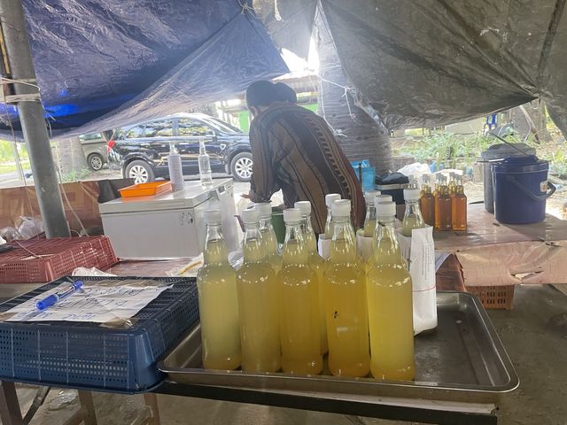 สวนตาลลุงถนอม น้ำตาลสดหอมๆท่ามกลางธรรมชาติ