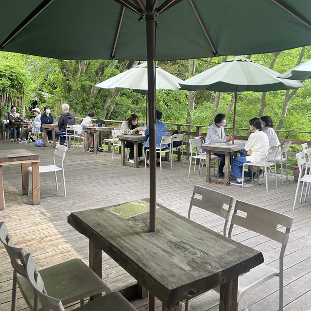 【緑あふれれ自然カフェ】埼玉のオシャレカフェで絶品ランチを堪能！