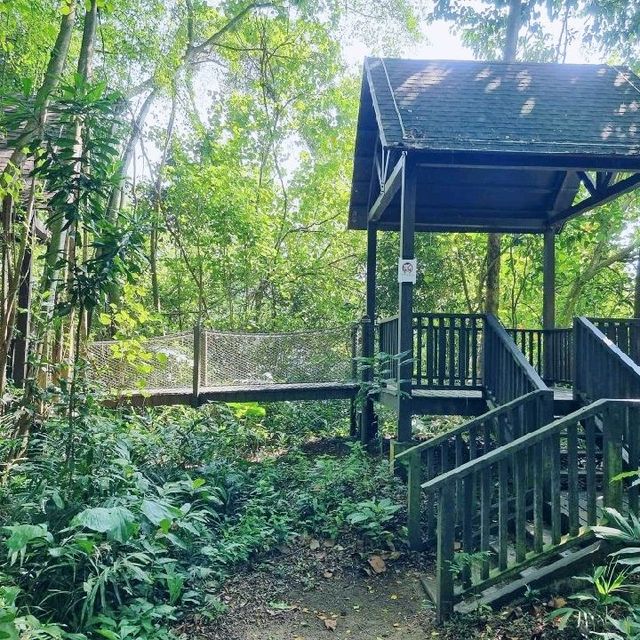 Resting Pods at Sungei Buloh Wetland Reserve