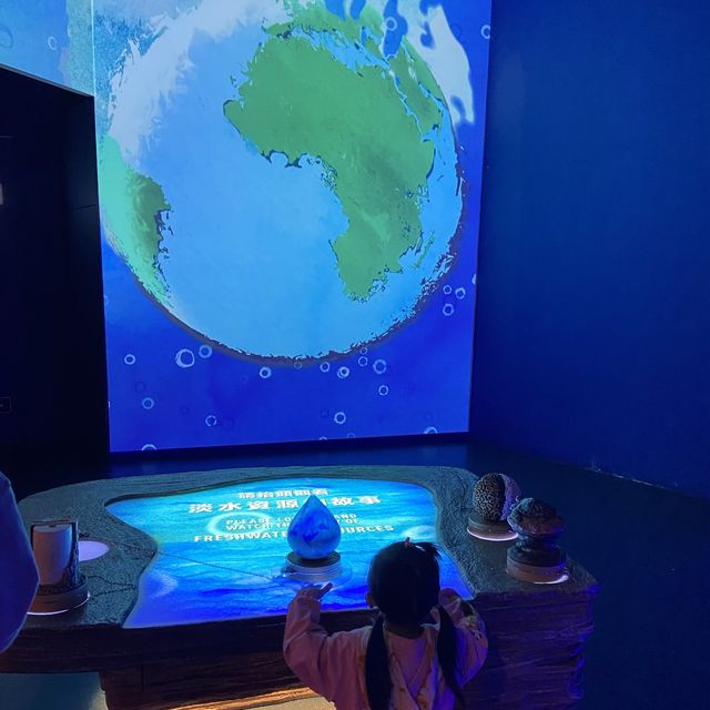 來一趟親子濕地探索之旅