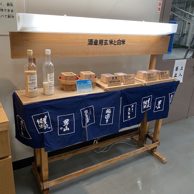 【北海道】旭川で酒造りを学ぶ