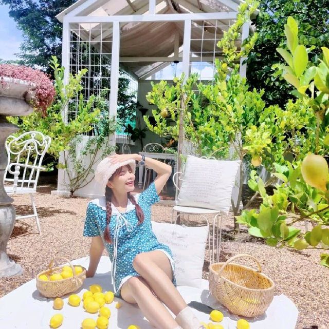 คาเฟ่สไตล์ชนบทฝรั่งเศส ในซอยลับชะอำ🇫🇷
