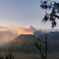 Majectic Bromo