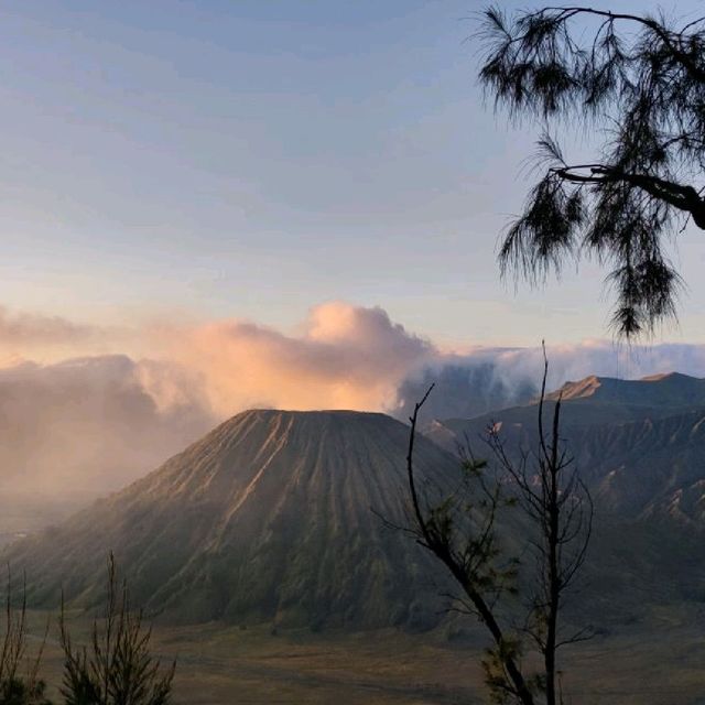 Majectic Bromo