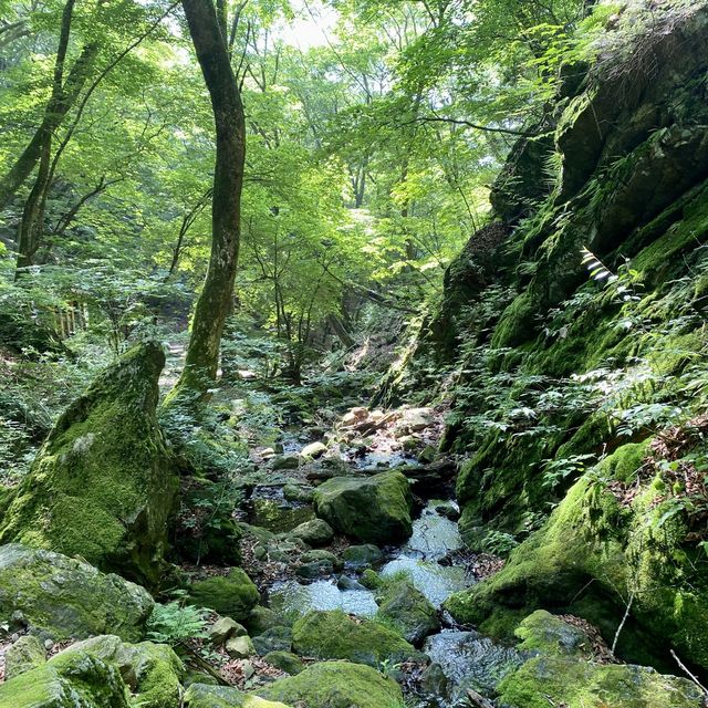 【マイナスイオンを浴びる！　御岳山】３時間のお手軽ハイキング