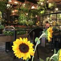 緑、お花溢れる🌻癒し空間カフェ【青山フラワーマーケット】