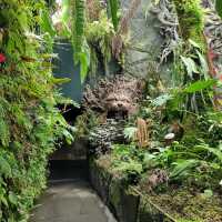 The Secret Garden at Cloud Forest