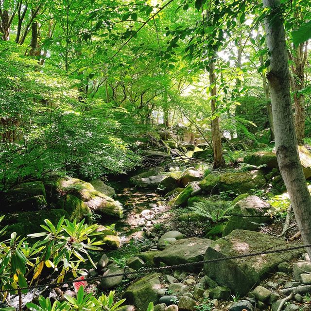 アクア・トト岐阜