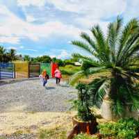 MIRNAZ ROOMSTAY