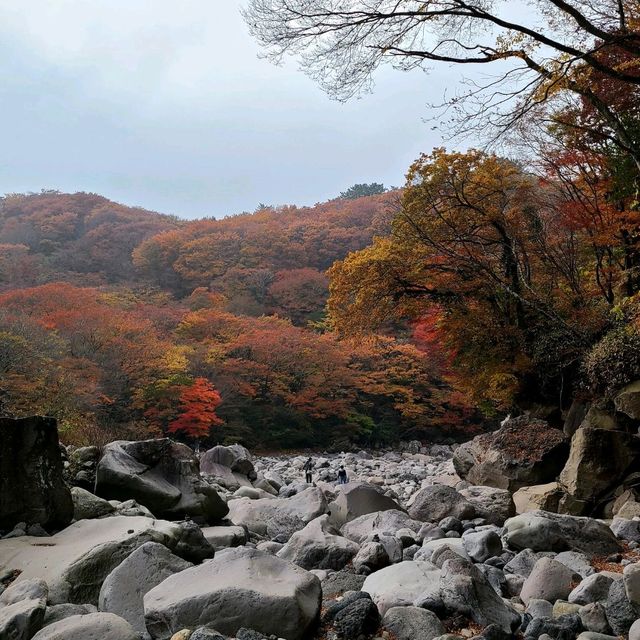 한라산 아래 제주 단풍 명소 <천아계곡>