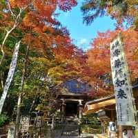 岩手県！秋の世界遺産中尊寺！｢目｣に御利益ある峯薬師堂