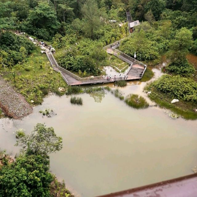 新加坡武吉知马山 城市中的大自然